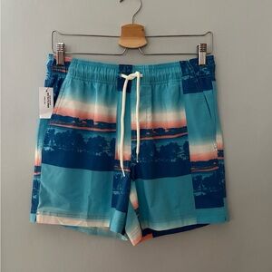 Mens RSQ Swim Shorts